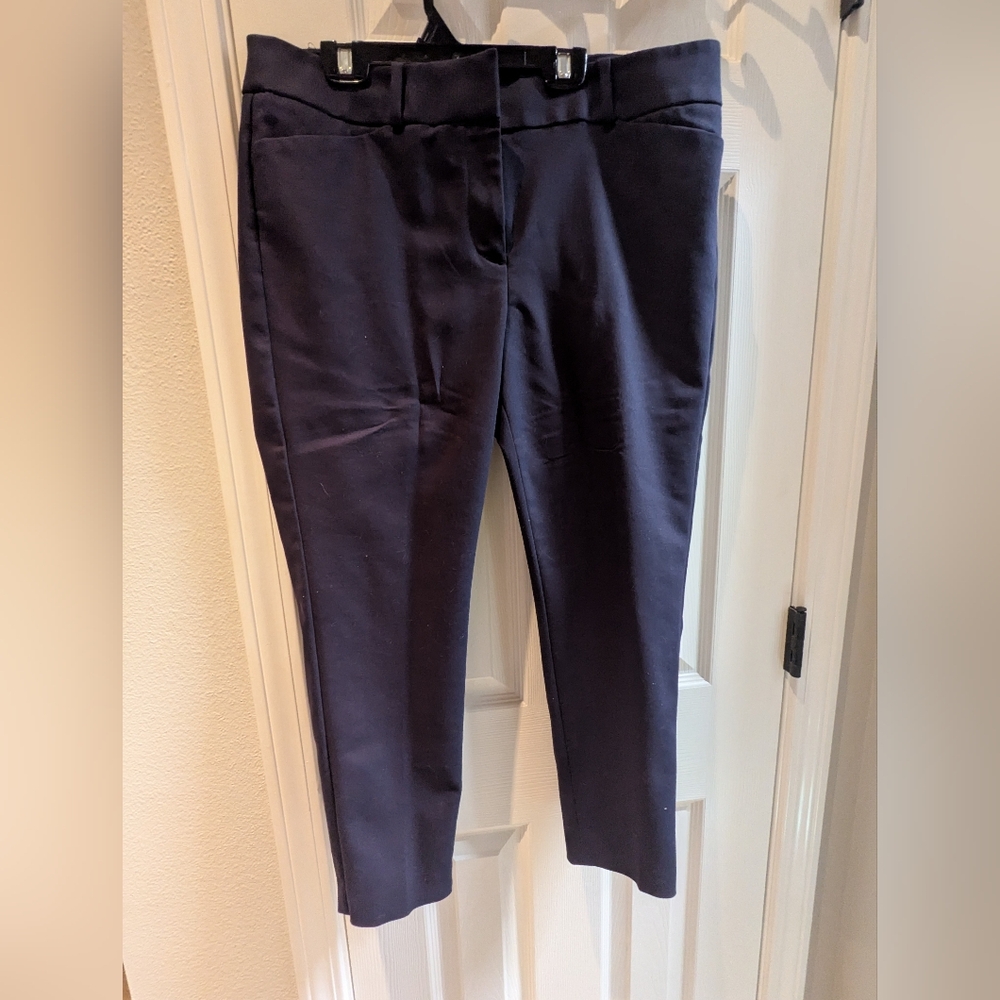 Loft Navy Ankle Pants